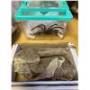 Image 1 : Snake 