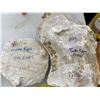 Image 1 : Mold For dog head & Ears From "Tooth Fairy"