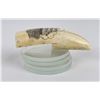 Image 2 : Alaskan Inuit Eskimo Scrimshaw Whales Tooth