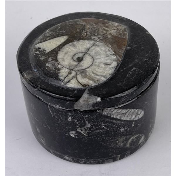 Moroccan Ammonite Fossil Stone Box