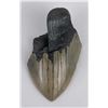 Image 1 : South Carolina Megalodon Shark Tooth Fossil