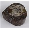 Image 2 : Moroccan Ammonite Fossil Stone Heart Shaped Box