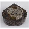 Image 3 : Moroccan Ammonite Fossil Stone Heart Shaped Box
