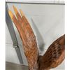 Image 6 : Chainsaw Carved Wood Eagle and Trout
