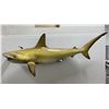 Image 1 : Trophy Taxidermy Hammerhead Shark Mount