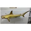 Image 2 : Trophy Taxidermy Hammerhead Shark Mount
