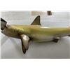 Image 4 : Trophy Taxidermy Hammerhead Shark Mount