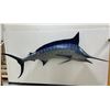 Image 3 : Gigantic Taxidermy Blue Marlin Mount 143"