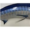 Image 6 : Gigantic Taxidermy Blue Marlin Mount 143"