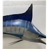 Image 7 : Gigantic Taxidermy Blue Marlin Mount 143"