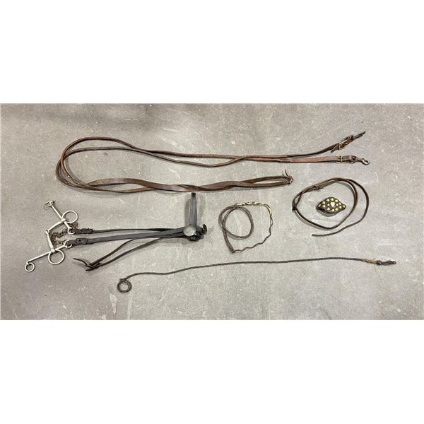 Collection of Antique Cowboy Horse Leather