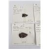 Image 2 : Collection of Ancient Montana Indian Arrowheads