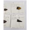 Image 3 : Collection of Ancient Montana Indian Arrowheads