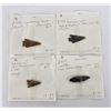 Image 1 : Collection of Colorado Indian Arrowheads