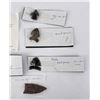 Image 3 : Group of Ancient Indian Arrowheads