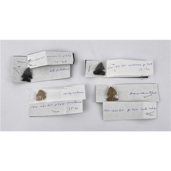Collection of Indian Arrowhead Points