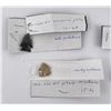 Image 3 : Collection of Indian Arrowhead Points