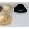 Image 4 : Stetson Bailey Resistol Cowboy Hat Collection