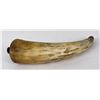Image 3 : Antique Montana Frontier Powder Horn