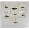Image 1 : Collection of Oregon Arrowhead Points