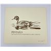 Image 1 : 1982 Texas Duck Stamp Print Ken Carlson