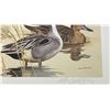 Image 8 : 1982 Texas Duck Stamp Print Ken Carlson