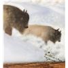 Image 9 : Painted Porcelain Plaques Sperry Montana Artist