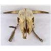 Image 1 : Montana Steer Cow Skull