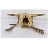 Image 2 : Montana Steer Cow Skull
