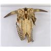 Image 6 : Montana Steer Cow Skull