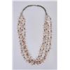 Image 2 : Zuni Mother of Pearl Bird Fetish Necklace