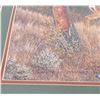 Image 8 : Manuel Mansanarez Mule Deer Print