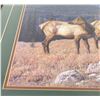 Image 8 : Manuel Mansanarez Montana Bull Elk Print