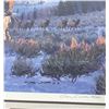Image 7 : Elk Lake Divide Gary Carter Print