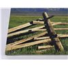 Image 2 : Montana Photo Giclee on Canvas