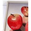 Image 3 : John Kuhn 5 Johnathan Apples Painting