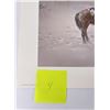 Image 8 : Carl J Smith So Glad You're Home Print
