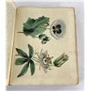 Image 13 : The Universal Herbal Dictionary Thomas Green