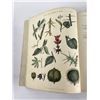 Image 5 : The Universal Herbal Dictionary Thomas Green