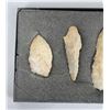 Image 2 : Collection of Ancient Indian Arrowhead Points