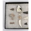 Image 2 : Collection of Ancient Indian Arrowhead Points