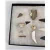 Image 5 : Collection of Ancient Indian Arrowhead Points