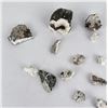 Image 2 : 2710 Carats of White Buffalo Turquoise