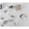 Image 6 : 2710 Carats of White Buffalo Turquoise