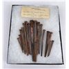 Image 1 : Fort Assiniboine Havre Montana Nails