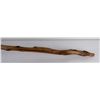 Image 7 : Diamond Willow Elk Horn Walking Stick