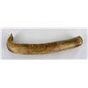 Image 2 : Montana Crow Indian Elk Horn Hide Scraper