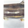 Image 13 : Sockeye Salmon Taxidermy Fish Mount