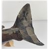 Image 15 : Sockeye Salmon Taxidermy Fish Mount