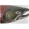 Image 16 : Sockeye Salmon Taxidermy Fish Mount